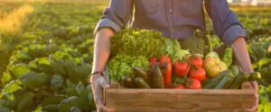 5 Basic Organic Farming Methods You Might Not Have Known